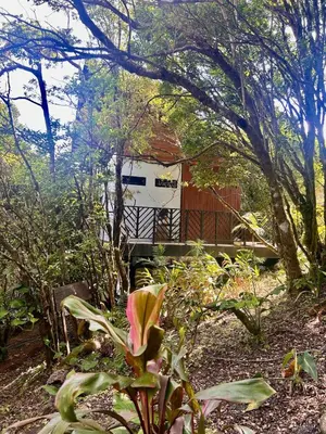 a bird house in the middle of a garden at NATURAVE HOME - Tiny house with mountain view in Monteverde Costa Rica