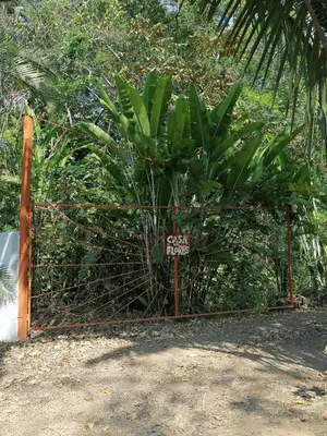 a fence with a palm tree behind it at Cabinas casa las flores in Montezuma