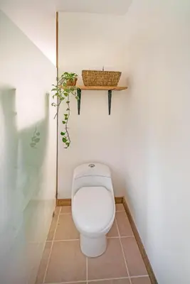 a bathroom with a toilet with a plant on a shelf at Drift Away Lodge CR in Santa Cruz