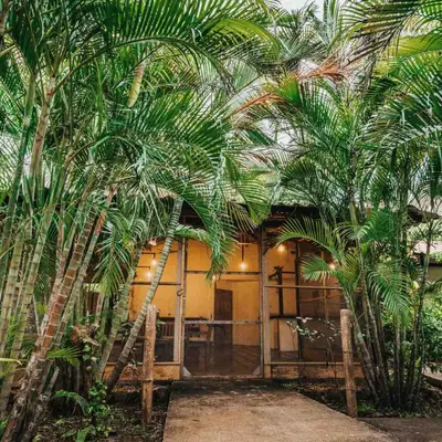a house with two palm trees in front of it at Drift Away Lodge CR in Santa Cruz