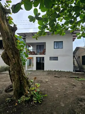 a white house with a tree in front of it at Casa Rosa - Beach Front in Tortuguero