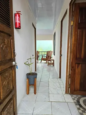 a hallway with a door and a potted plant at Casa Rosa - Beach Front in Tortuguero