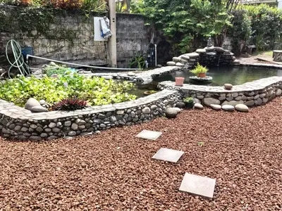 a garden with a pond and some plants and rocks at Casa Canadiense in Chacarita