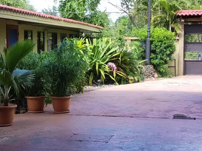 a house with potted plants in front of a driveway at Casa Canadiense in Chacarita