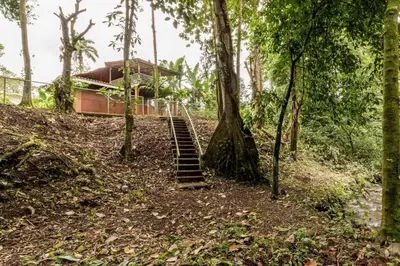 a staircase leading up to a cabin in the woods at Gamboa Cabin - Delightful Couples Vacation Cabin in Fortuna