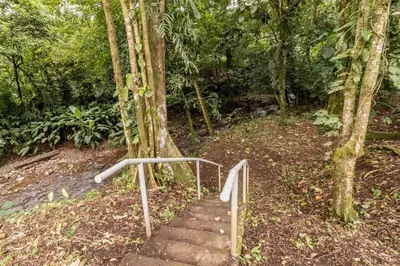 a set of stairs in the middle of a forest at Gamboa Cabin - Delightful Couples Vacation Cabin in Fortuna