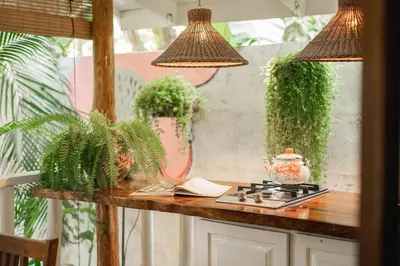 a kitchen counter with potted plants and a stove at Surf Casitas - Low Tide Bungalow in Santa Teresa Beach