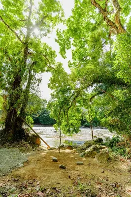 a view of a river with trees and rocks at Camping Finca Planeta Sano in Naranjito