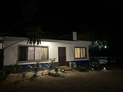 a white house at night with a palm tree in front at La Chozita in Tamarindo