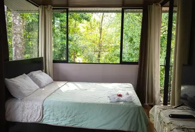 a bedroom with a bed with a large window at Chiri's Cabin in San Gerardo