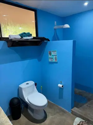 a blue bathroom with a toilet and a window at New casita walking distance to Avellanas beach in Río Sequito