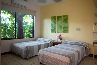two beds in a room with a tree window at Apartments-Villas Playa Potrero 1 in Potrero
