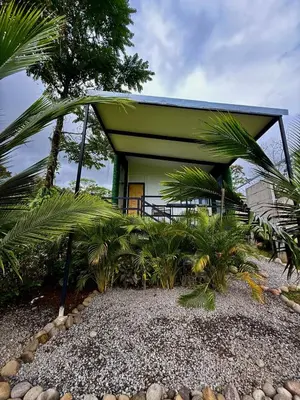 a small house with a green roof and palm trees at Mini Casa Aura in Fortuna