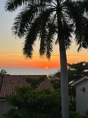 a palm tree with the sunset in the background at Beach Front Condo for 10 people in Tamarindo