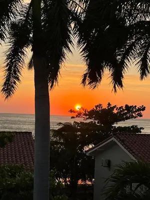 a sunset over the ocean with a palm tree at Beach Front Condo for 10 people in Tamarindo
