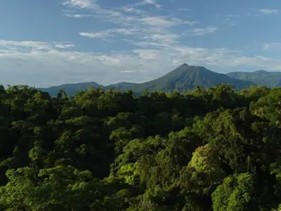 a forest of trees with a mountain in the background at Mirador Prendas in Sarapiquí