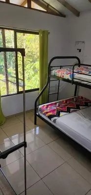 two bunk beds in a room with a window at El Retiro Del Bosque-Natural mystery in Manuel Antonio
