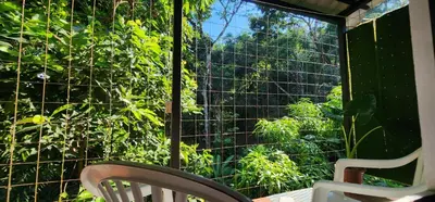 a window with a view of a plant at El Retiro Del Bosque-Natural mystery in Manuel Antonio