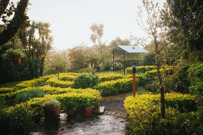 a garden with flowers and a gazebo in the background at Hotel Holístico Monteverde in Monteverde Costa Rica
