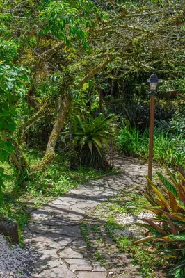 a stone path with a street light in a garden at Hotel Holístico Monteverde in Monteverde Costa Rica