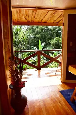 a vase with a plant in front of a door at Natural - cabin, 30 min Fortuna, wifi 200mb in San Pedro