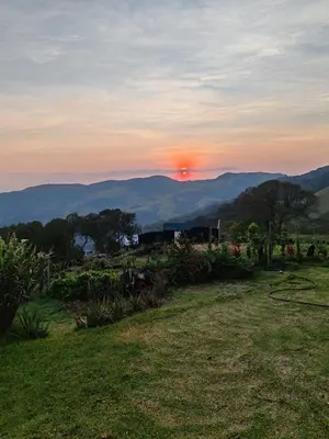 a view of the sunset from a field with flowers at Higuitos Lodge Cabaña in San Luis