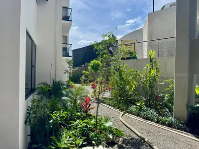 a garden in the side of a building with plants at Bosques de bambú in San José