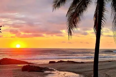 a palm tree on a beach with a sunset at Luxury Ocean View Villa with Infinity pool in Santa Teresa Beach