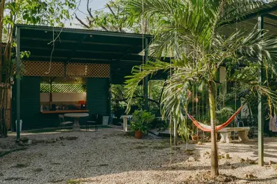 a palm tree with a hammock in a garden at Chilamate Rainforest Beach Retreat in Nosara