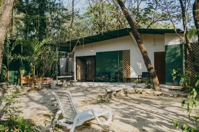 a house in the woods with two chairs in front of it at Chilamate Rainforest Beach Retreat in Nosara