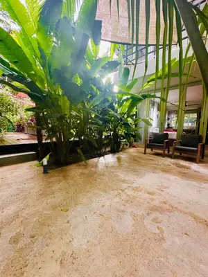 a room with a bunch of plants in it at Villa Alexandra in Punta Leona