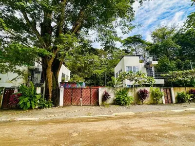 a fence with a tree in front of a house at Villa Alexandra in Punta Leona