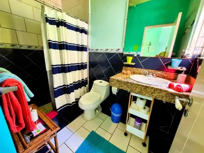 a bathroom with a toilet and a sink and a mirror at Down by the Sea, the beachfront Apartment & Studio in Puerto Coyote