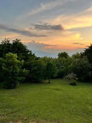a field with trees and a sunset in the background at Vista de montaña in Barva