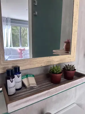 a bathroom shelf with a mirror and books and plants at Villa Mary in Punta Leona