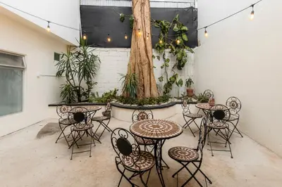a room with tables and chairs and a tree at Habitación doble económica - Casa Esmeralda in San José