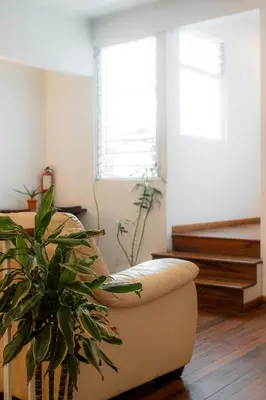 a living room with a chair and a plant at Habitación triple confort - Casa Esmeralda in San José