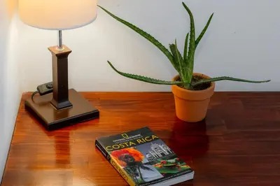 a book on a table with a lamp and a plant at Habitación doble pequeña - Casa Esmeralda in San José
