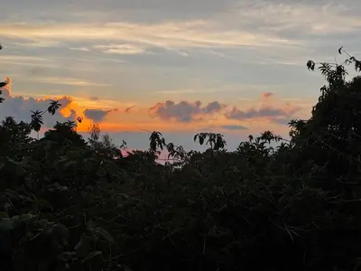 a sunset in the sky with trees in the foreground at Cabina de las Hojas Monteverde in Monteverde Costa Rica