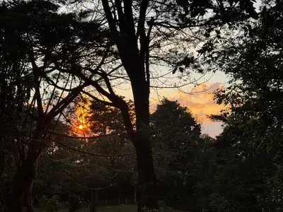 a sunset is seen through the branches of a tree at Cabina de las Hojas Monteverde in Monteverde Costa Rica
