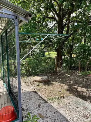 a bird cage with a red frisbee in it at Cabaña Hojancha in Hojancha