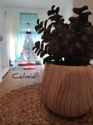 a vase with a plant in it on a table at La casita de Nana in Esparza