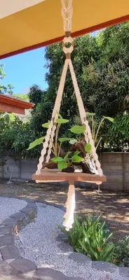 a plant in a swing in a garden at Casa Mathi in Portegolpe