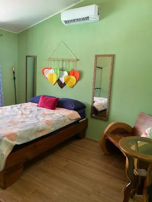 a bedroom with a bed and mirrors on the wall at Casa Iriria, in harmony with nature in Carpintero