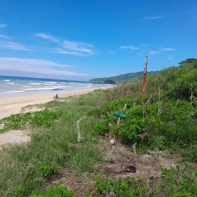 Gallery image of Cabinas Playa Grande in Refundores