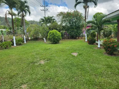 a yard with green grass and palm trees and a fence at Casa de campo Bijagua in Upala