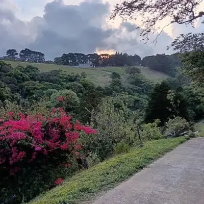 Katty Mountain View