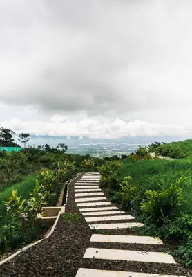 a stone path in a field with flowers at Safari Tent El Cielo in Santa Ana