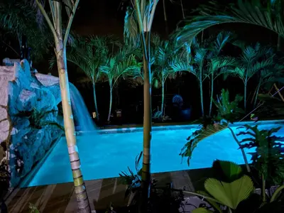 a swimming pool in a resort with palm trees at Nature Heaven in Jabillos