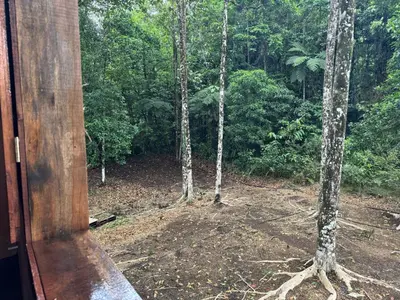 a view of a forest from the outside of a house at Picki's Cabin in Guácimo